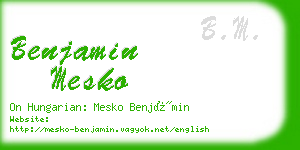 benjamin mesko business card